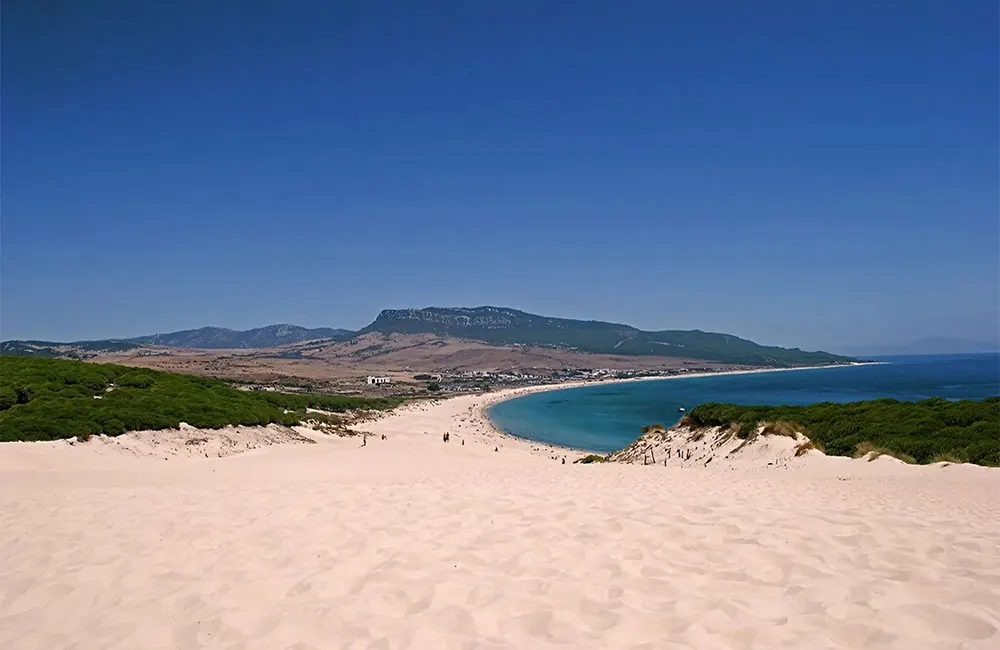 Bolonia beach Anual, CC BY 3.0 <https://creativecommons.org/licenses/by/3.0>, via Wikimedia Commons