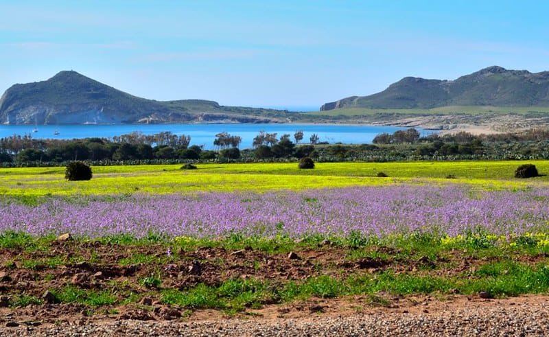 7 Areas of Outstanding Natural Beauty in Andalucia