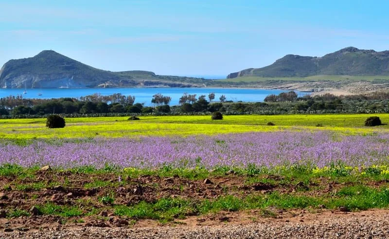 7 Areas of Outstanding Natural Beauty in Andalucia