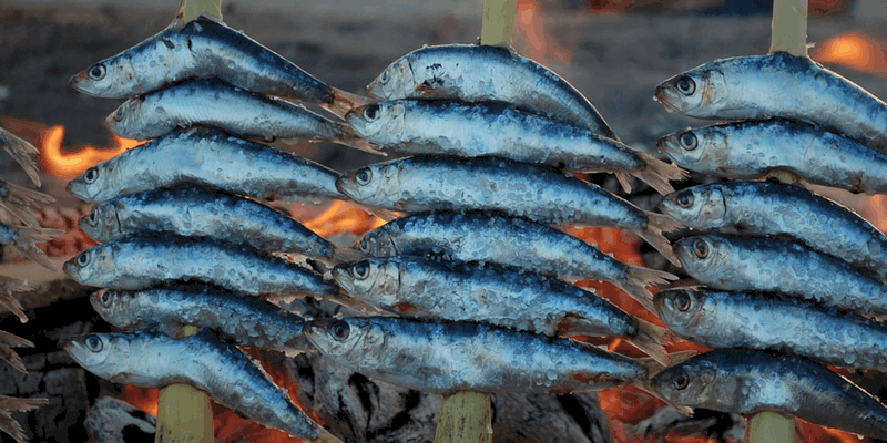 Sardine Espeto in Malaga - Free Tour Malaga