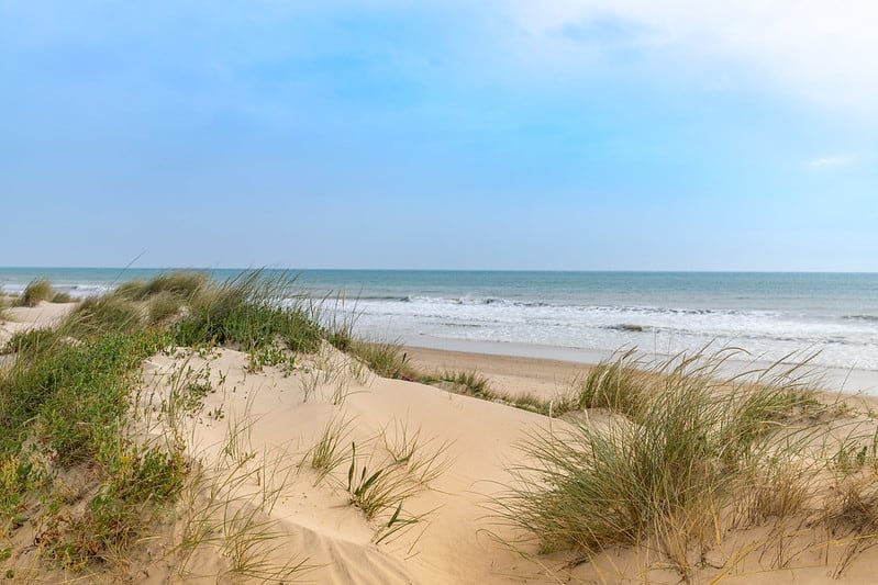 The Best Beaches in and Around Cádiz | Toma & Coe