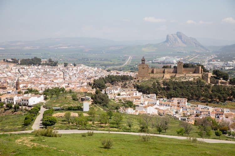 Caimno in Andalucia - Antequera