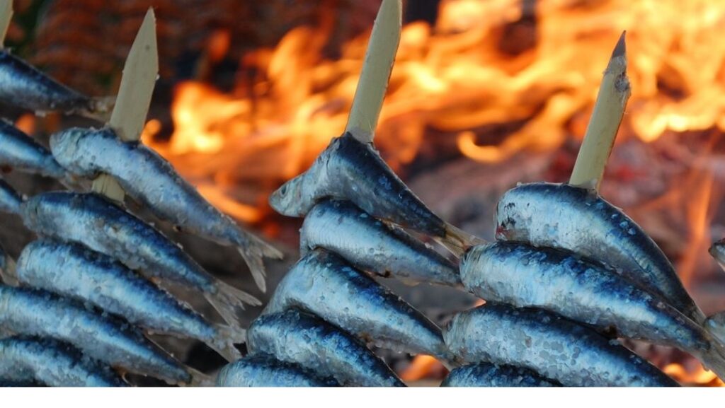 Sardine skewers over fire - a Málaga dish