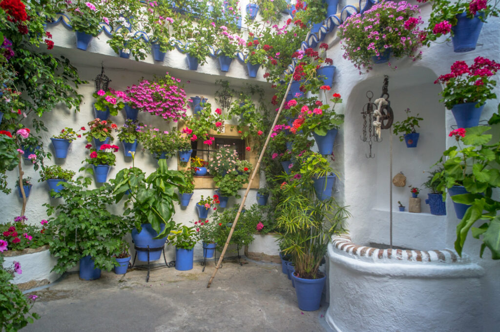 Patio with blue pots and flowers
