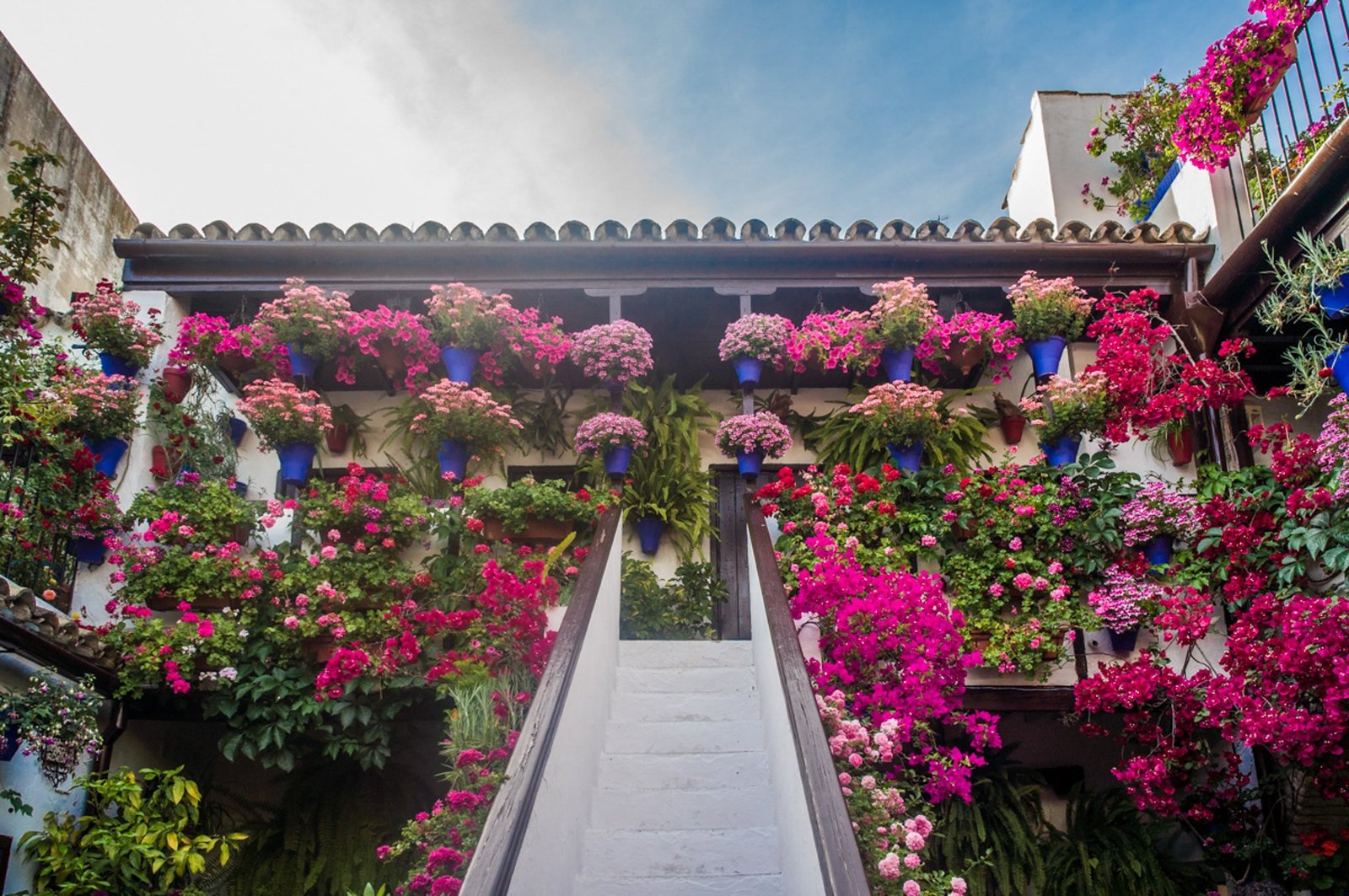 Córdoba Patio Festival