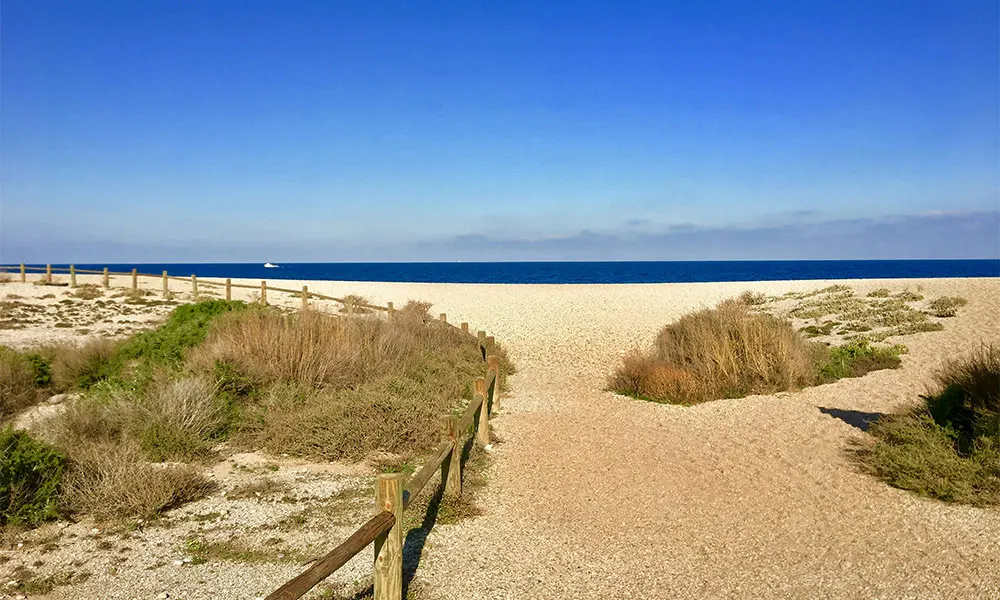 Photo by <a href="https://unsplash.com/@noyzzee?utm_content=creditCopyText&utm_medium=referral&utm_source=unsplash">Noyzzee</a> on <a href="https://unsplash.com/photos/brown-wooden-fence-on-brown-sand-near-blue-sea-under-blue-sky-during-daytime-xiqwDD-XzFk?utm_content=creditCopyText&utm_medium=referral&utm_source=unsplash">Unsplash</a>