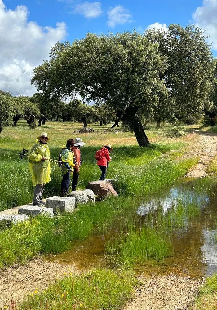 Camino Pilgrims