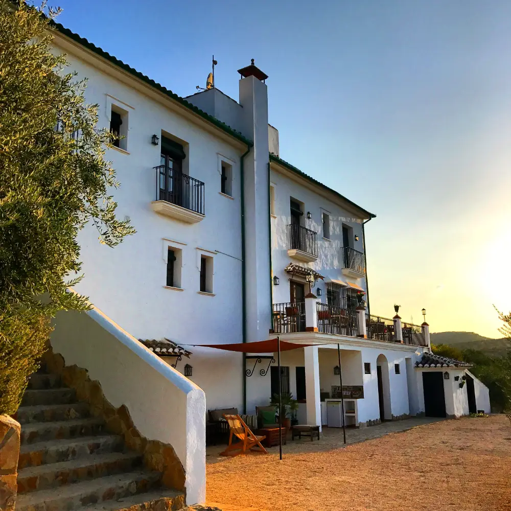 Casa Olea