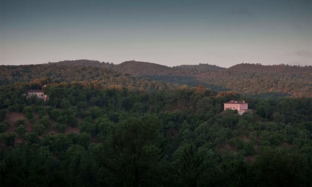 Andalucia - where writers go to breathe 4 Finca Buenvino