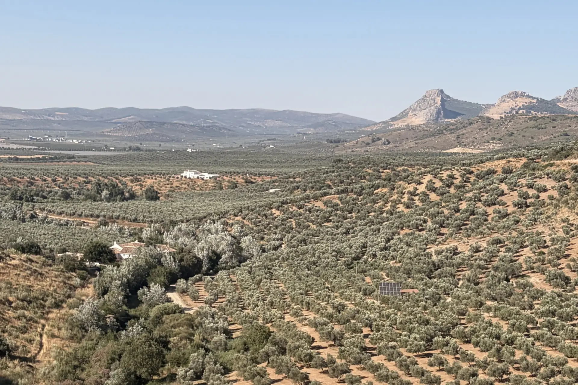 Booked. Lit travel through Andalucia 2 The Corner – Manni Coe’s memoir Little Ruins paints evocative pictures of the area and home in which he lives