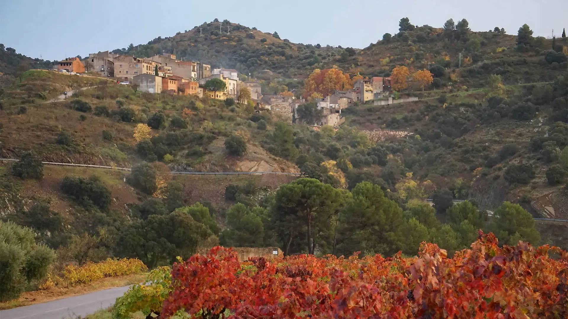 Priorat Wine Tour
