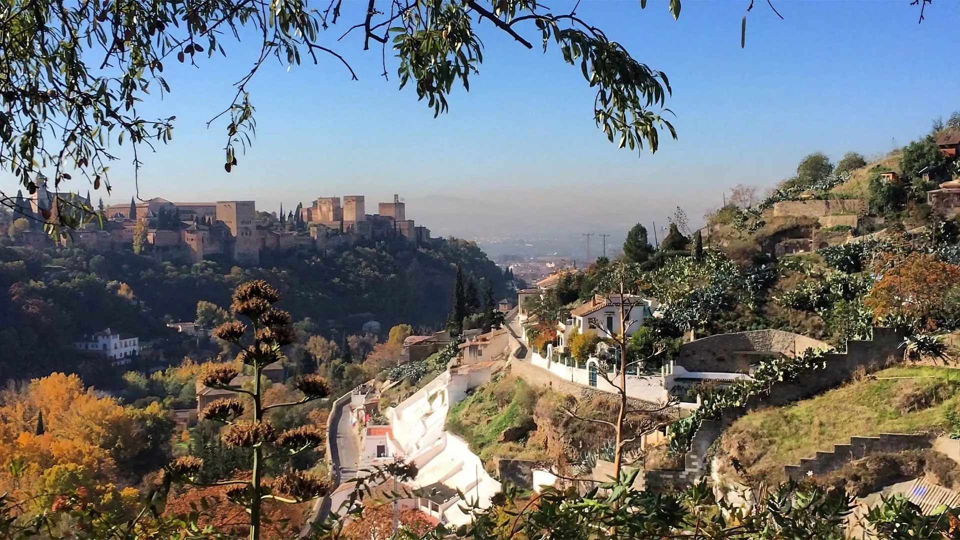 Sephardic Jewish Heritage Tour
