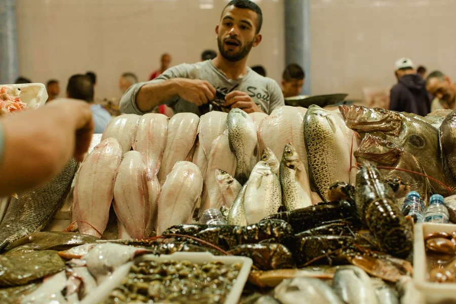 Tangiers Fish Market