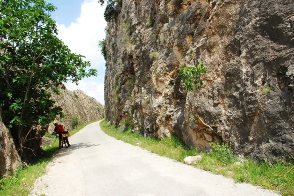 October in Andalucia 4 A cyclist stops to look at a tree on the Via Verde de la Subbetica at Puente Genil as the track rounds the bend in the near distance