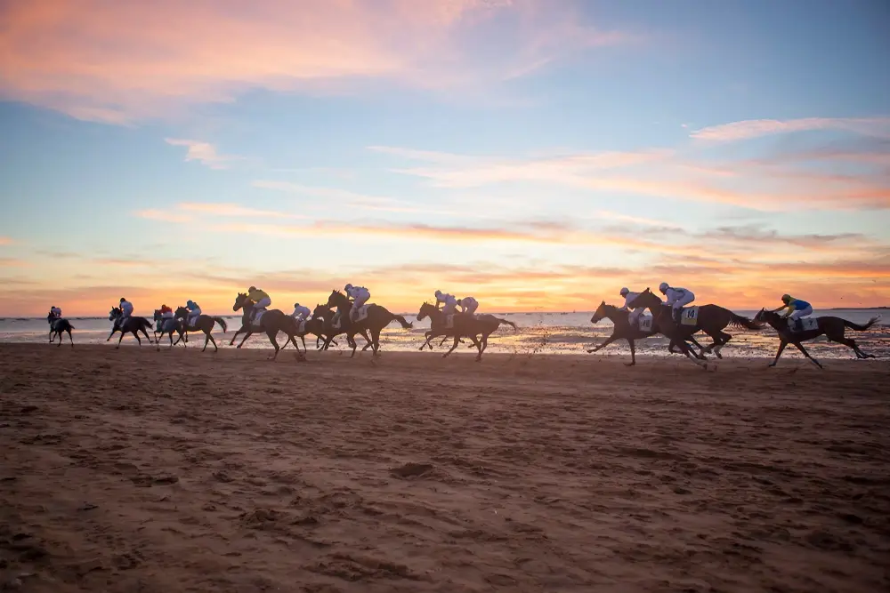 Tghe Carreras de Cabellos on the beaches of Sanlúcar de Barrameda. Image credit: Junta de Andalucia