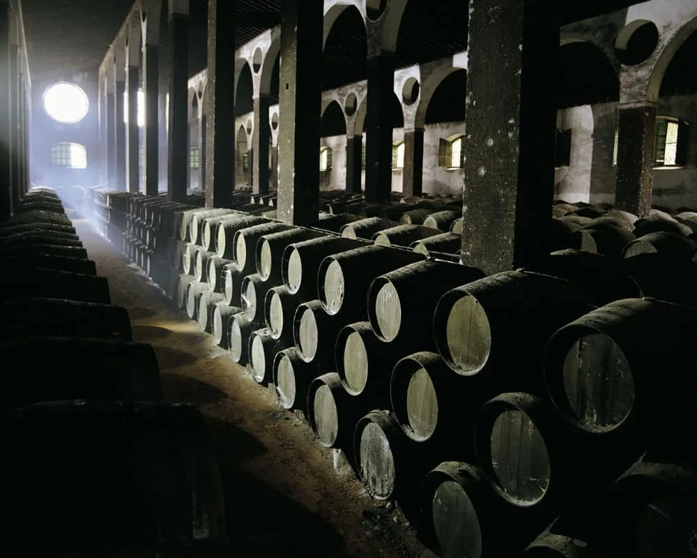 Unleashing the Spirit of Jerez