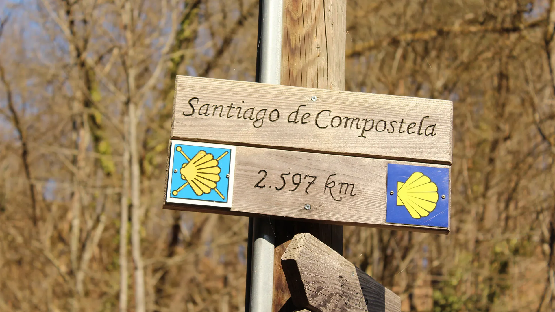 Camino de Santiago