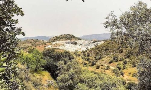 Almogia e1714404315618