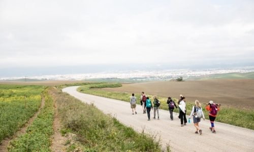 CaminoAndalusia 1164 1