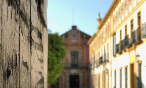 IMG 4388 scaled e1714404243865 qokrkjm2s801zz99hrj5hvkl4vfrinvyht9wdq7qns