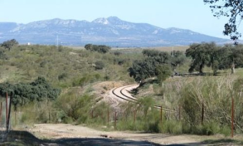 IMG 3359 e1555943588457