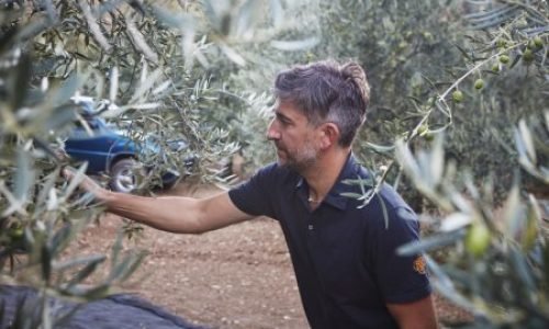 TomaTours 257 e1555943954649 qohb8g61q0kawl1aqy4bvejs9pjkv23j372kq2ysvs