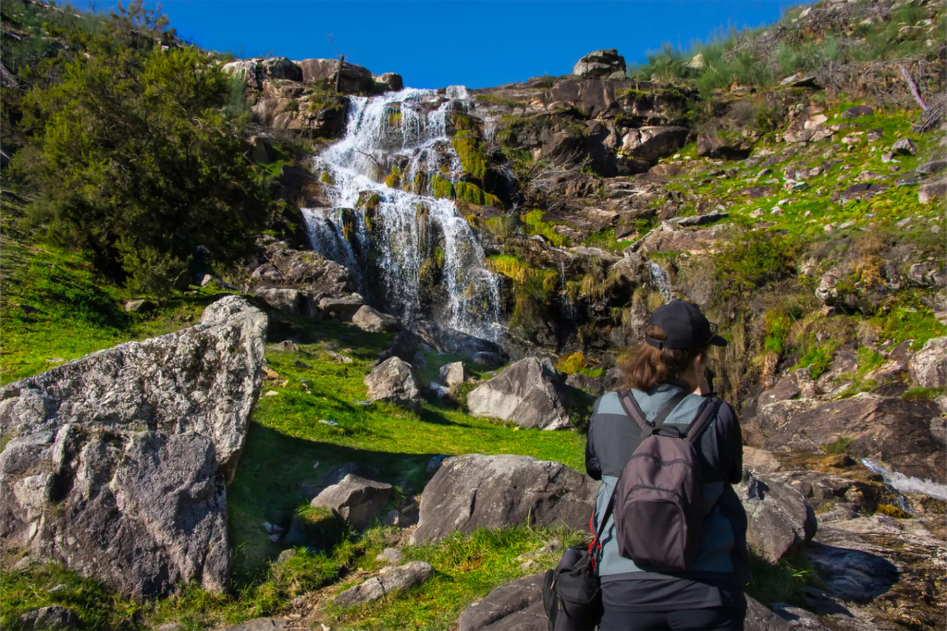 Galician countryside. Image credit: Photo by Gabriel González from PxHere licensed as CC BY-SA 2.0