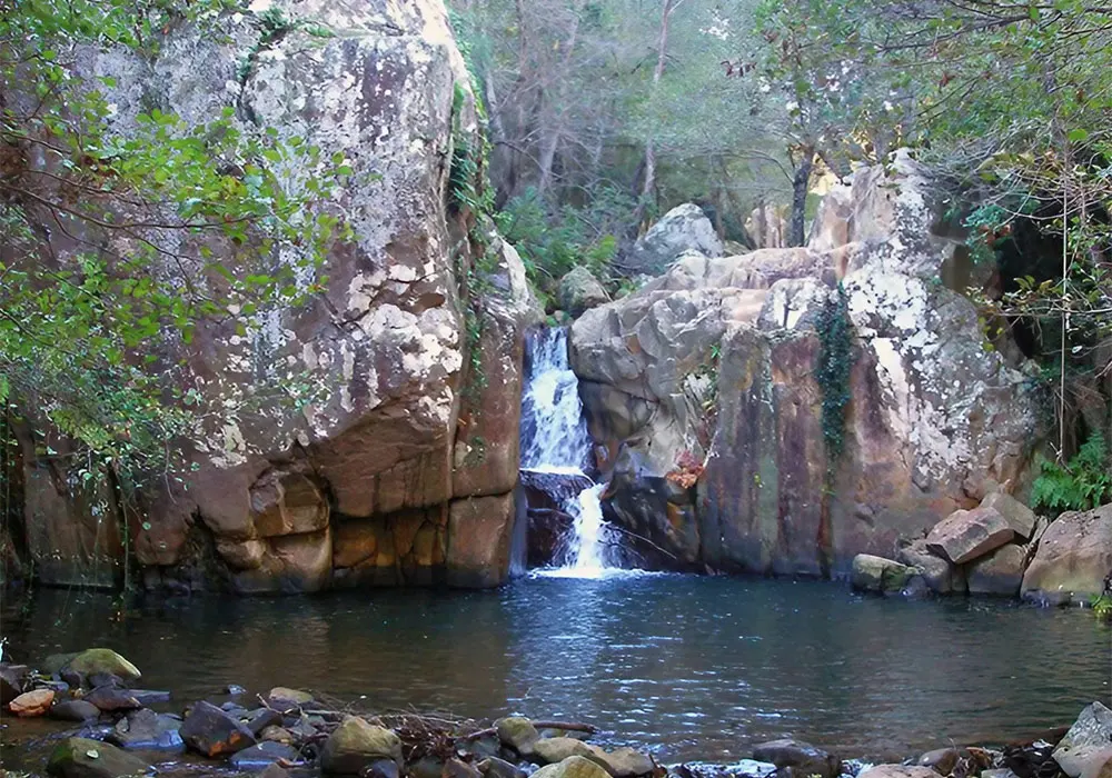 los alcornocales junta de andalucia