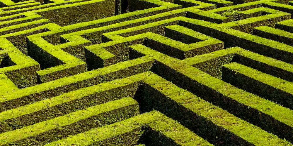 TOMA News: Laberintus Park - Spain’s largest maze opens in Andalucia 2 Maze close up – close up of Spain’s largest hedge maze