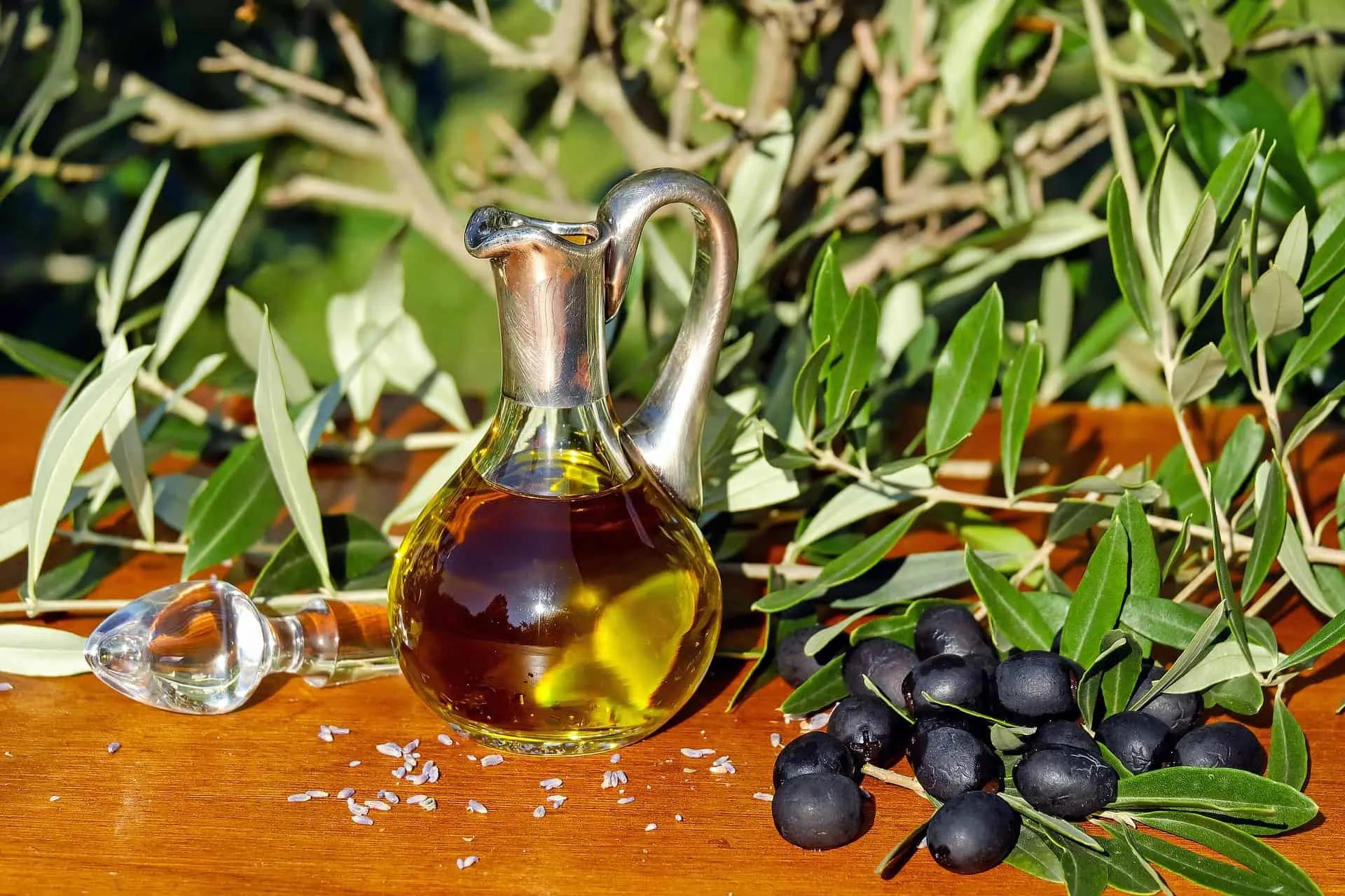 A decade of Olive Oil Tours with TOMA & COE 2 Spanish Olive Oil