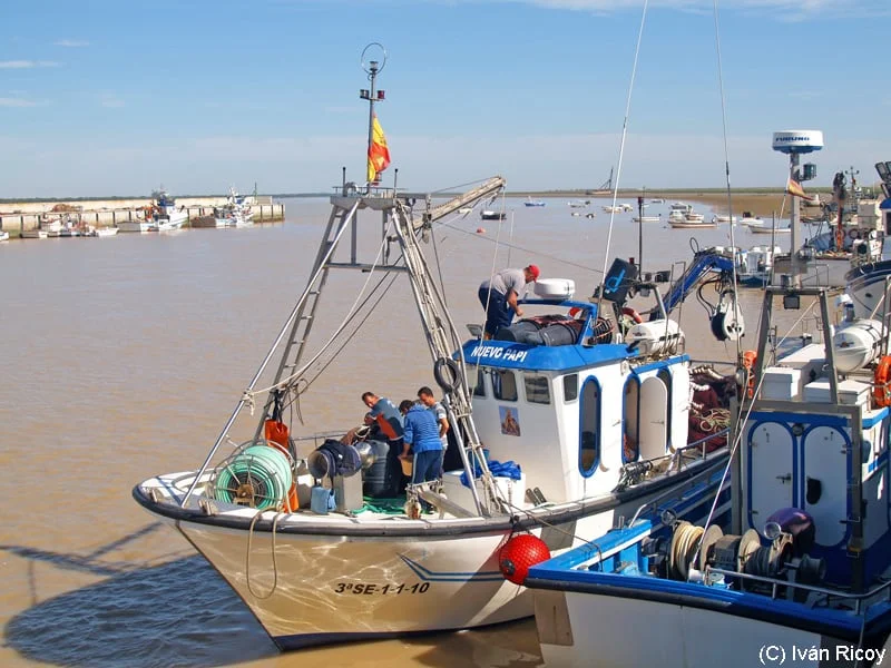 Sherry Triangle – Sanlucar de Barrameda