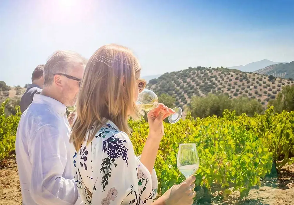 Wine tasting at vineyard – Credit: Junta de Andalucia
