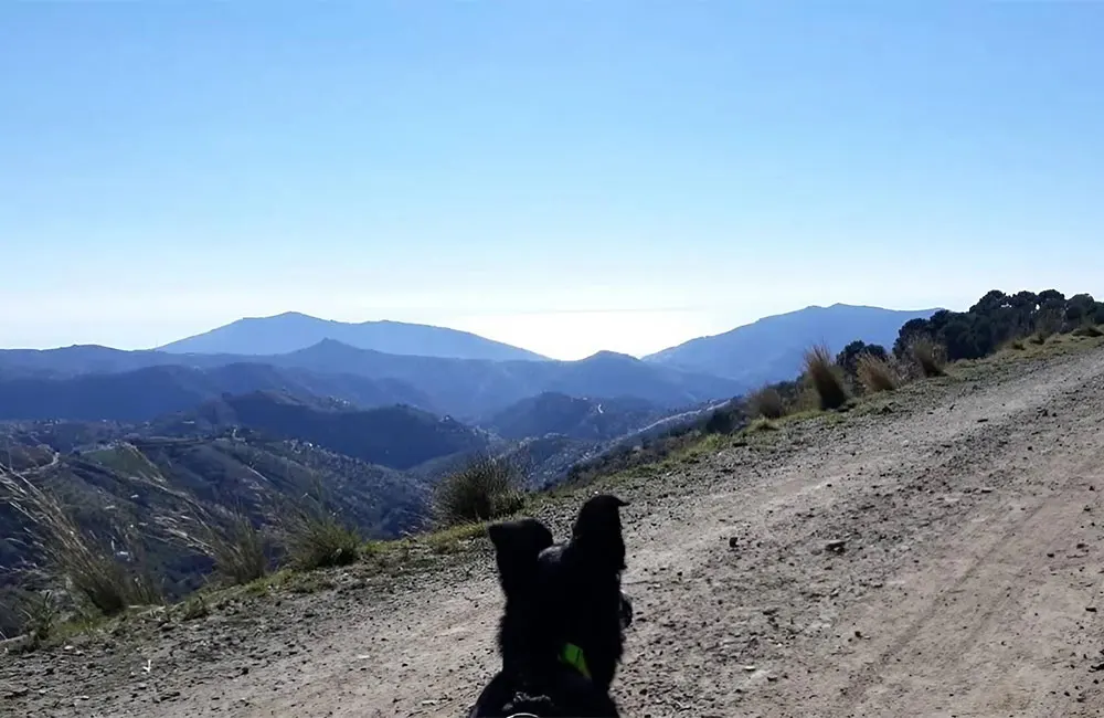 winter light in the Sierra de Tejeda looking south. Credit: Deborah Cater
